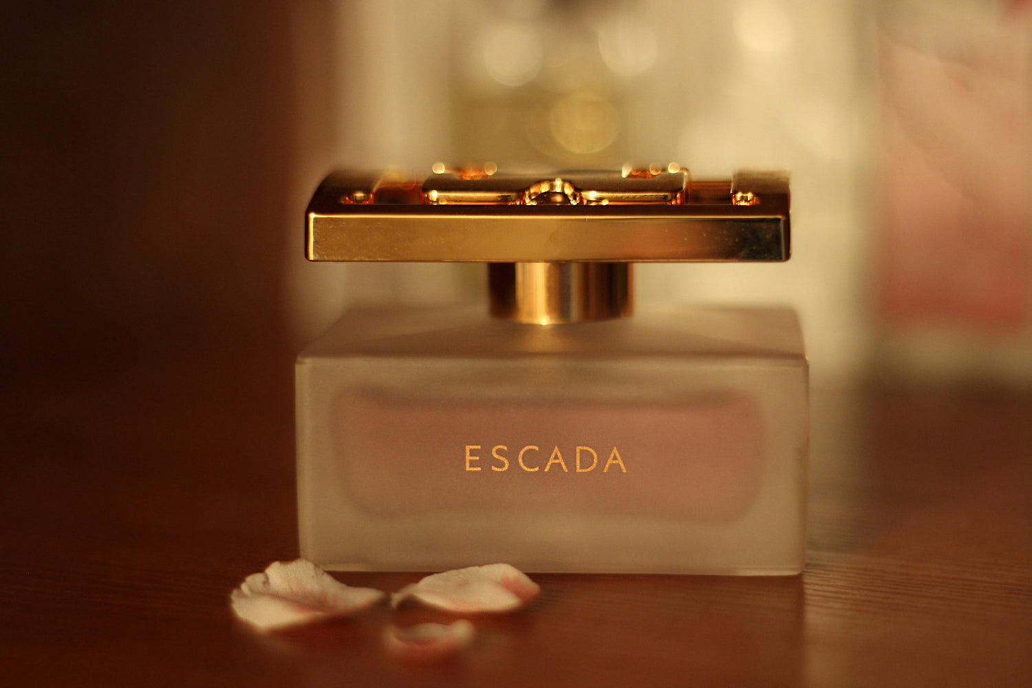 Fragrances & Perfumes